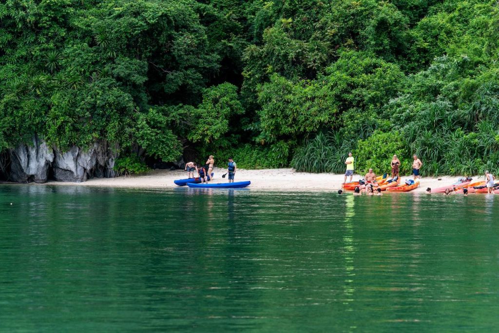 Kayakers exploring Bai Tu Long Bay's lush green waters and scenic shoreline.