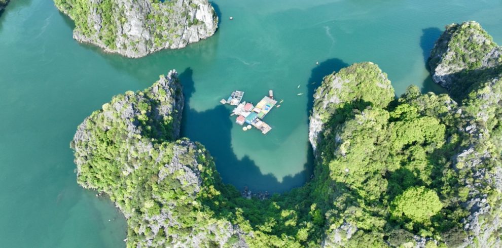 Aerial view of Bai Tu Long Bay with lush green islands and floating boats, showcasing a tranquil cru.