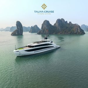 aerial-cruise-bay-panorama-taliya-cruise-lan-ha-bay-viettrendtour Large
