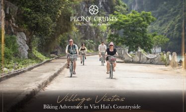 Biking along scenic village roads in Halong Bay's countryside, capturing peaceful rural landscapes.