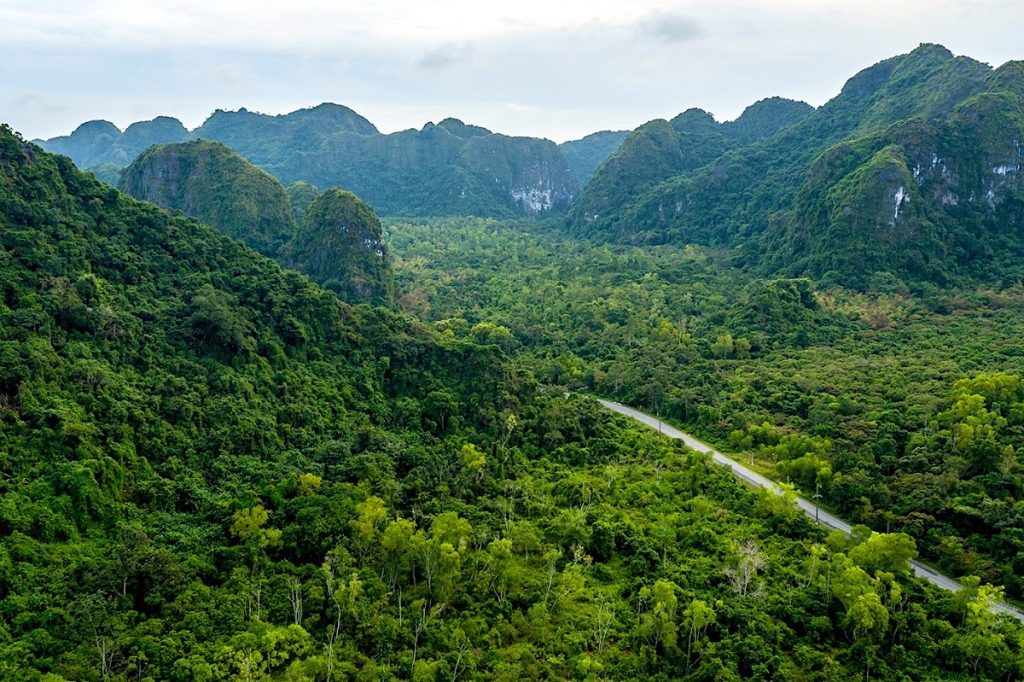 Vivid view of lush green mountains and winding road in Vietnam, perfect for trekking and nature expl.