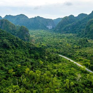 cat-ba-national-park-aerial-valley-road-viettrendtour