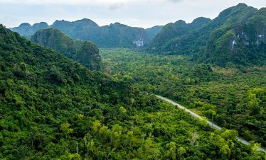 Vivid view of lush green mountains and winding road in Vietnam, perfect for trekking and nature expl.
