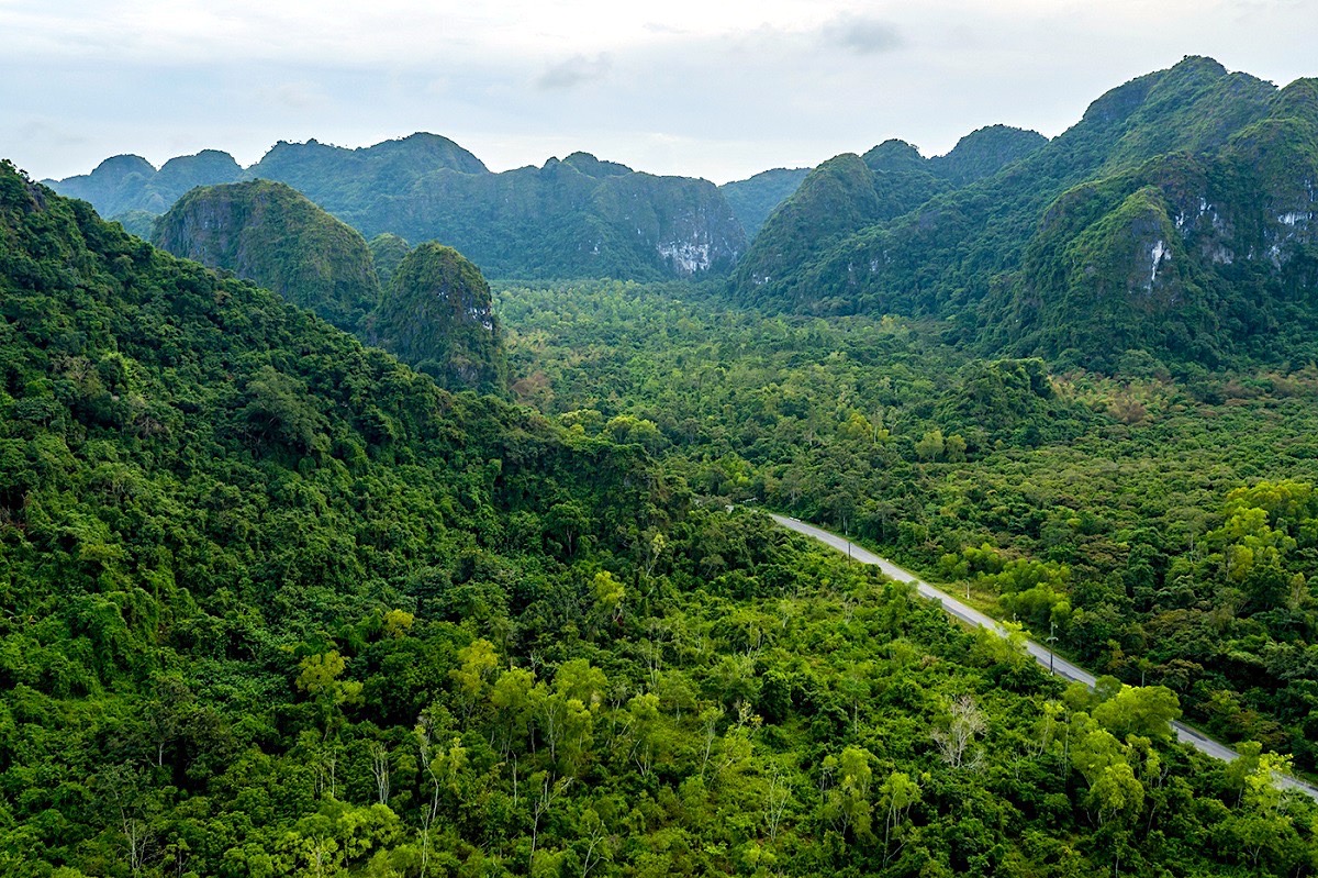 Vivid view of lush green mountains and winding road in Vietnam, perfect for trekking and nature expl.