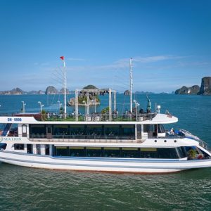 cruise-side-profile-sea-lion-cruise-halong-bay-viettrendtour