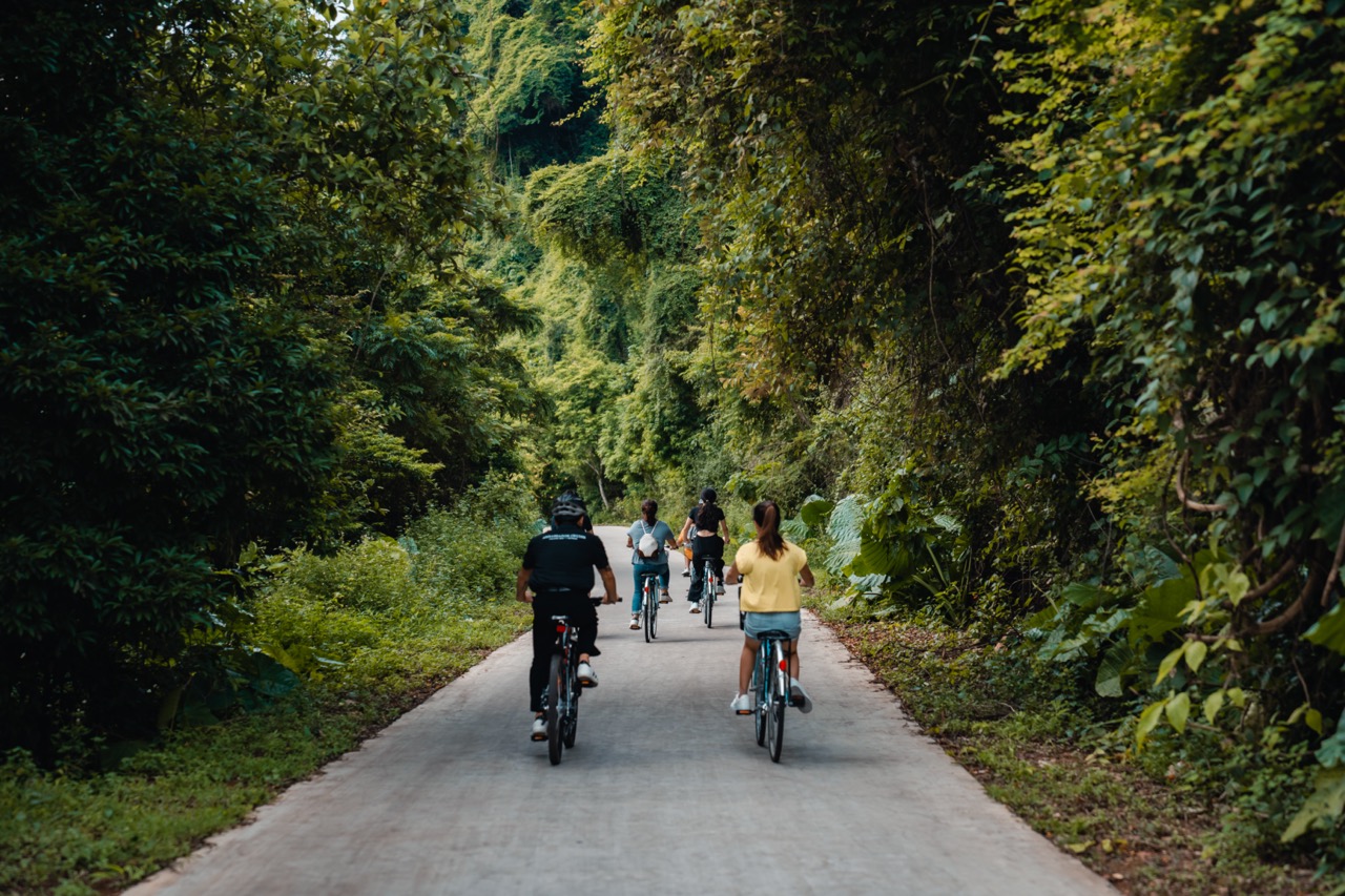 Cyclists riding through a green forest trail, enjoying nature and adventure in Halong Bay area.