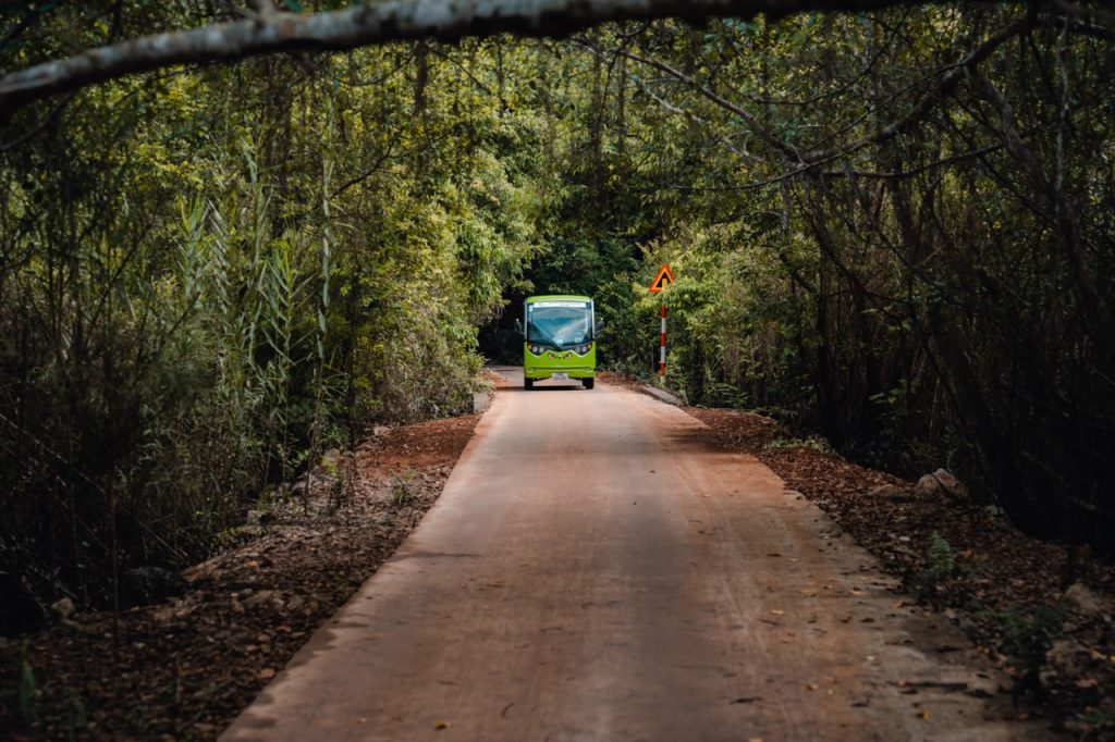 Scenic forest road in Vietnam with a bus traveling through lush greenery, perfect for eco-tourism an.