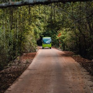 excursion-viet-hai-eco-buggy-ambassador-signature-cruise-lan-ha-bay-viettrendtour