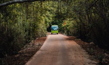 Scenic forest road in Vietnam with a bus traveling through lush greenery, perfect for eco-tourism an.