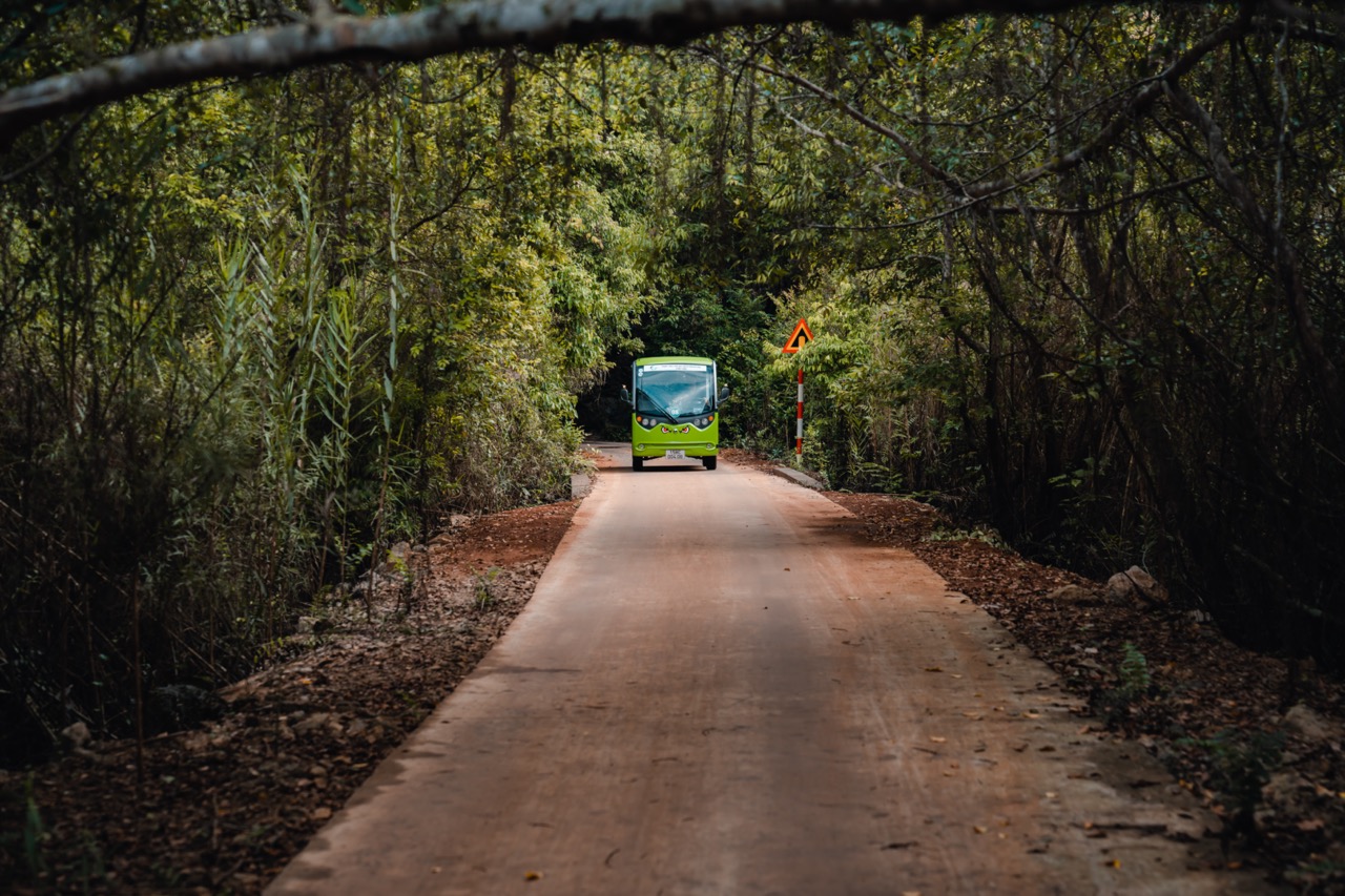 Scenic forest road in Vietnam with a bus traveling through lush greenery, perfect for eco-tourism an.
