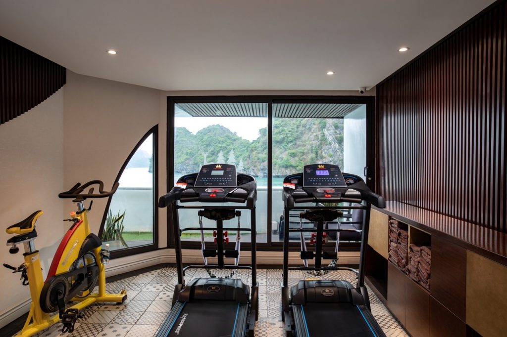 1. Well-equipped home gym with treadmills and exercise bike, modern interior design, scenic mountain view.