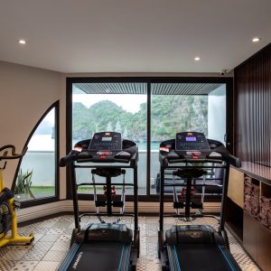 fitness-gym-cardio-equipment-view-stellar-of-the-seas-lan-ha-bay-viettrendtour