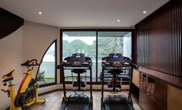 1. Well-equipped home gym with treadmills and exercise bike, modern interior design, scenic mountain view.
