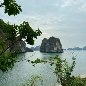 Limestone islands in Halong Bay, Vietnam with lush greenery and calm waters.