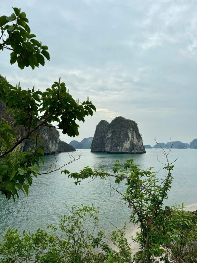 Limestone islands in Halong Bay, Vietnam with lush greenery and calm waters.