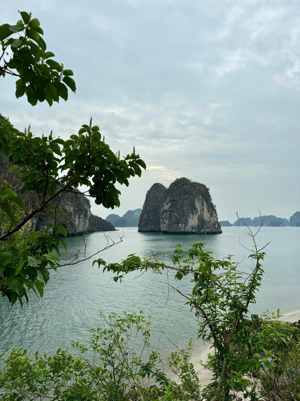 Limestone islands in Halong Bay, Vietnam with lush greenery and calm waters.