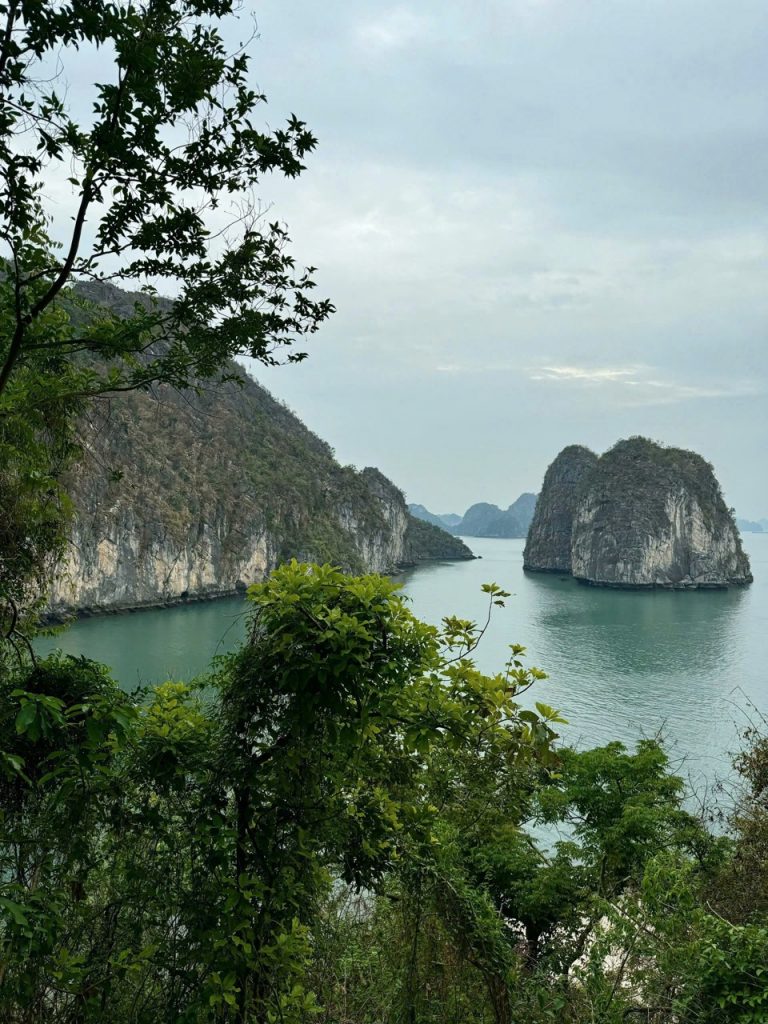 Limestone karsts and emerald waters of Ha Long Bay, Vietnam, surrounded by lush greenery.