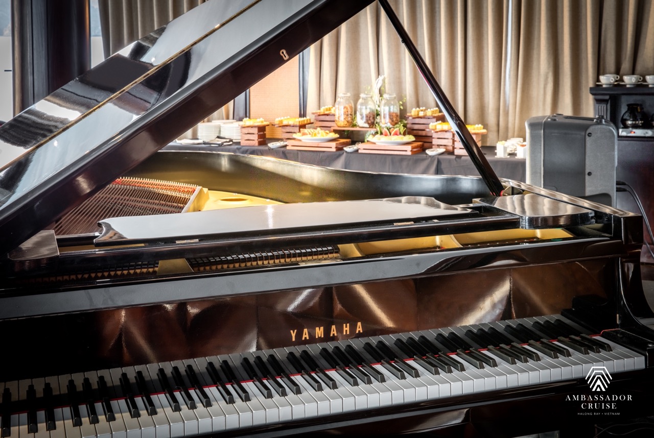 Luxurious interior of the cruise with a grand piano and cozy ambiance, perfect for relaxing during H.