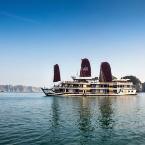 orchid-classic-overview-11