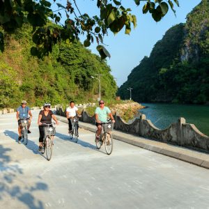 orchid-premium-cycling