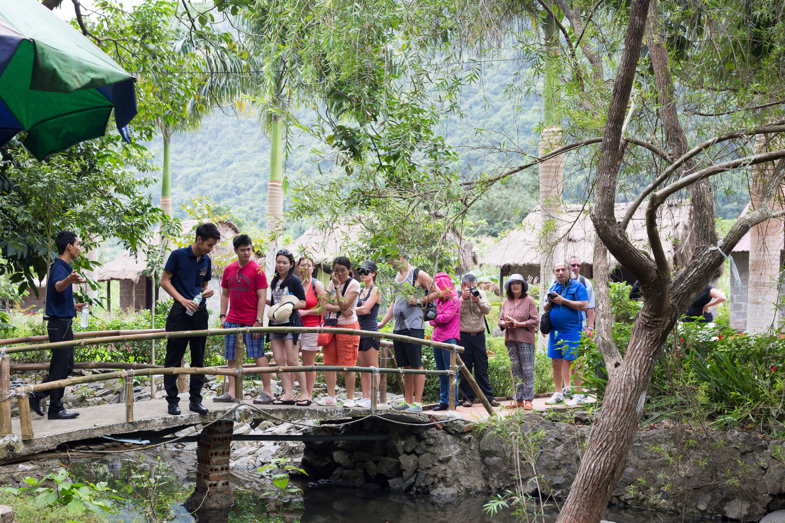 Vietname tour group exploring lush jungle scenery at a traditional village bridge in Vietnam.