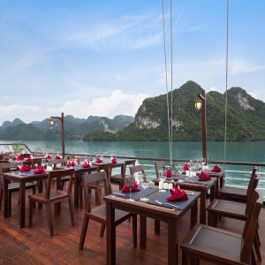 orchid-trendy-sudeck-bbq