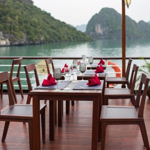 orchid-trendy-sudeck-dinner-1