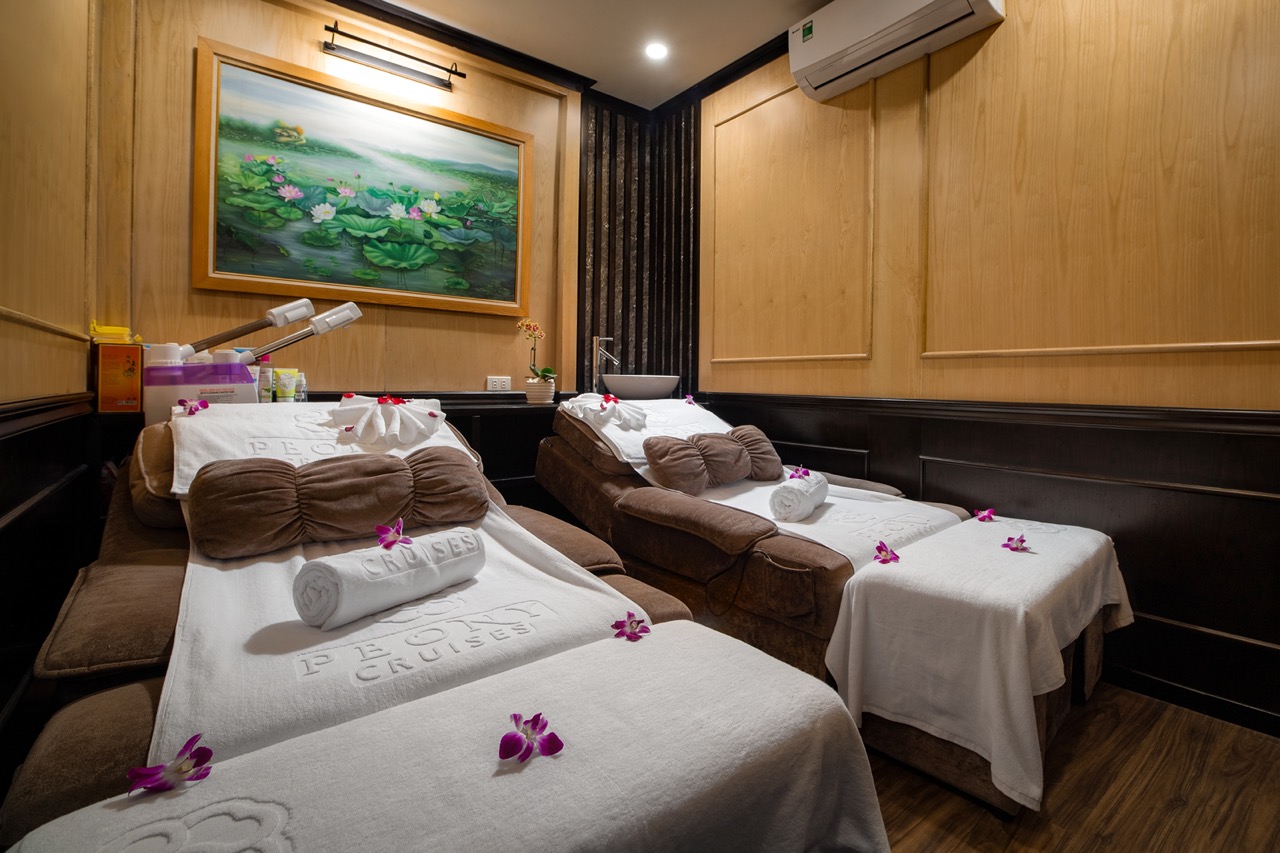 Luxurious cruise balcony view of Halong Bay with serene waters and scenic landscape.