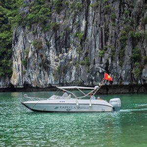speedboat-cruise-limestone-cliffs-capella-cruise-lan-ha-bay-viettrendtour