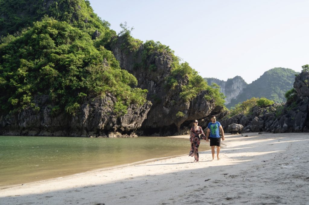 Secluded beach with lush green cliffs and clear water, ideal for tropical island adventures.
