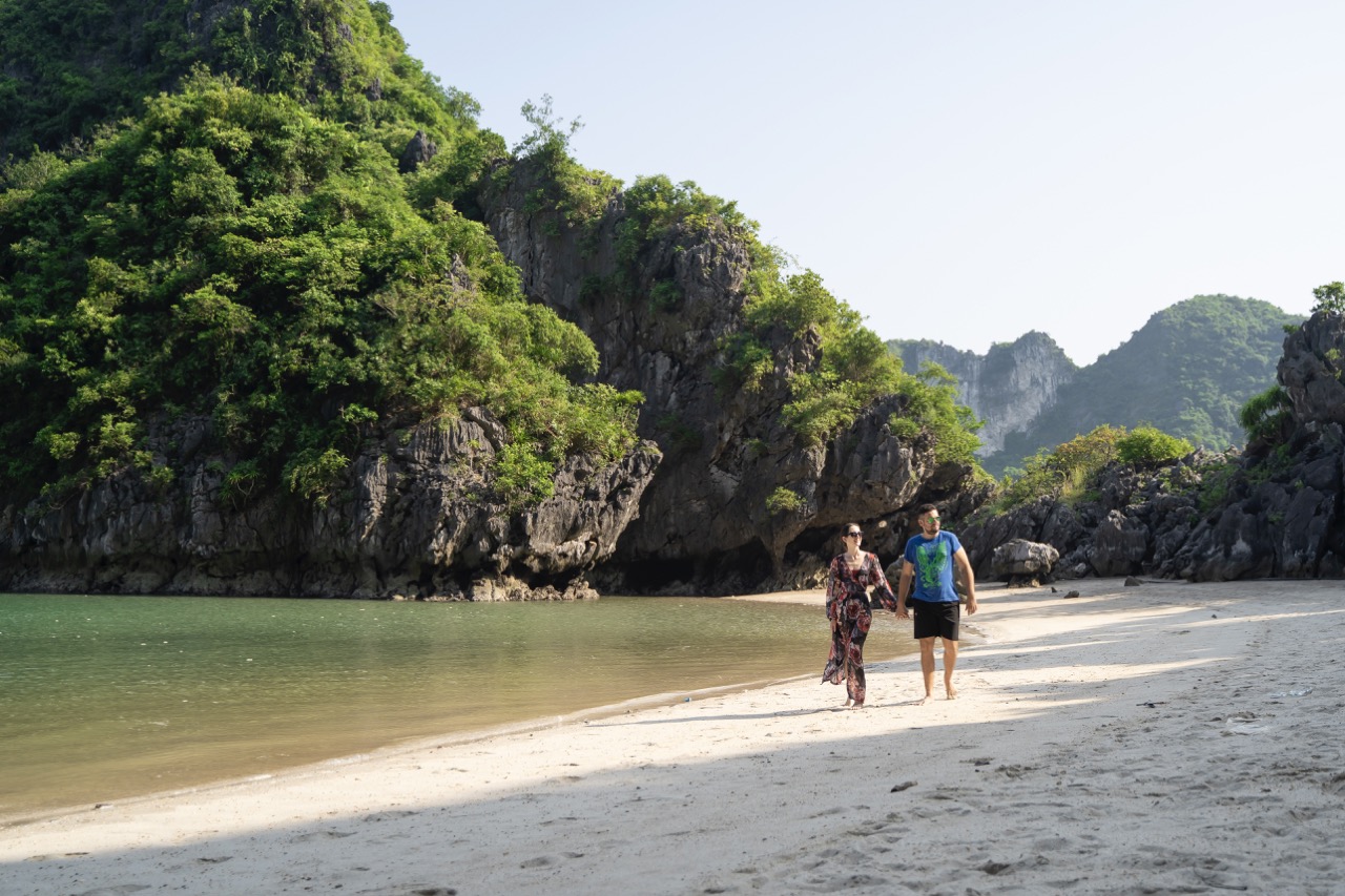 Secluded beach with lush green cliffs and clear water, ideal for tropical island adventures.