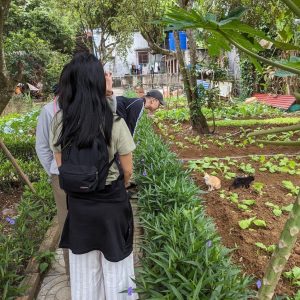 Guests explore an organic garden in Viet Hai village.