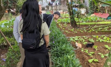 Beautiful scene of travelers exploring lush garden on a Lan Ha Bay cruise day trip.
