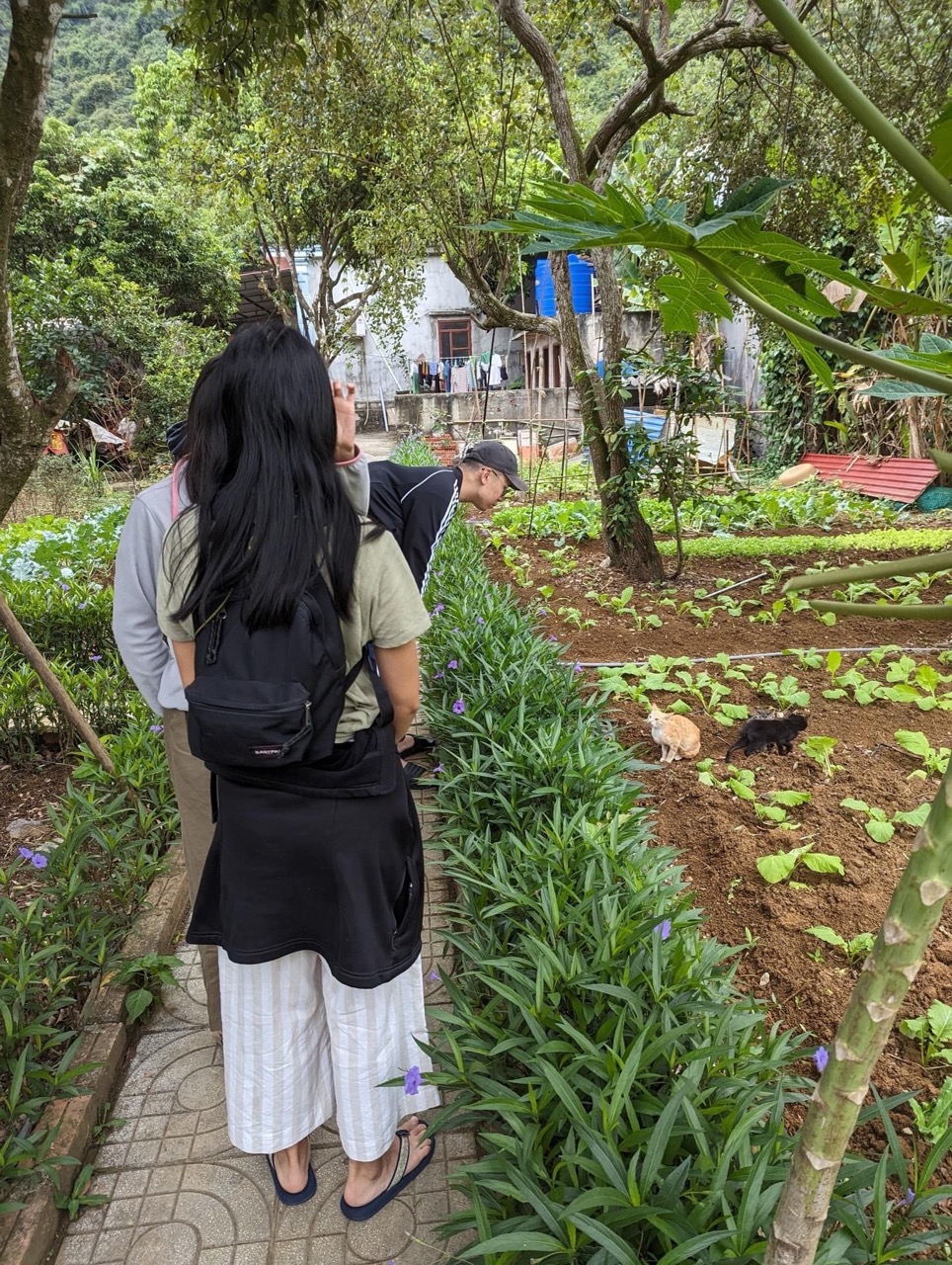 Beautiful scene of travelers exploring lush garden on a Lan Ha Bay cruise day trip.