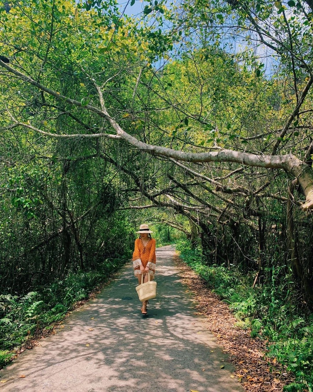 ViettrendTour, woman walking through lush green forest on a sunny day, travel and nature escape, scenic outdoor adventure.