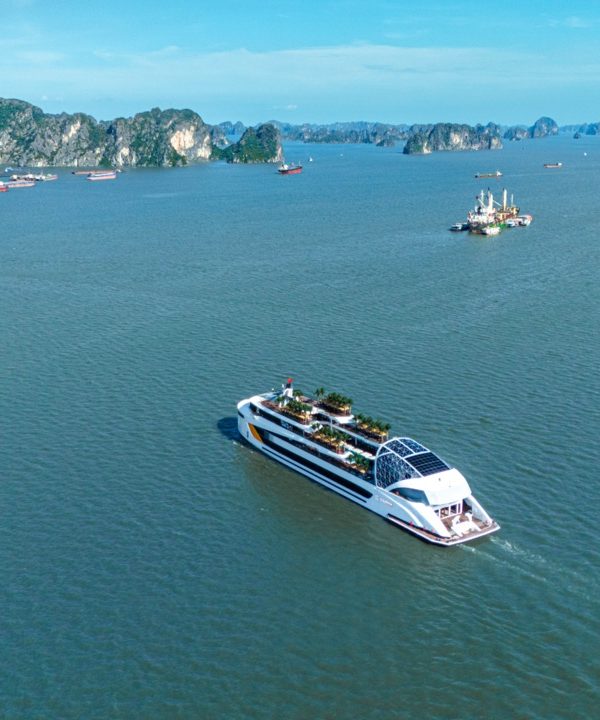 Luxurious cruise sailing in Ha Long Bay with scenic limestone islands.