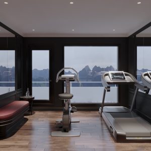 Modern gym room with treadmill and exercise bike overlooking mountain scenery.