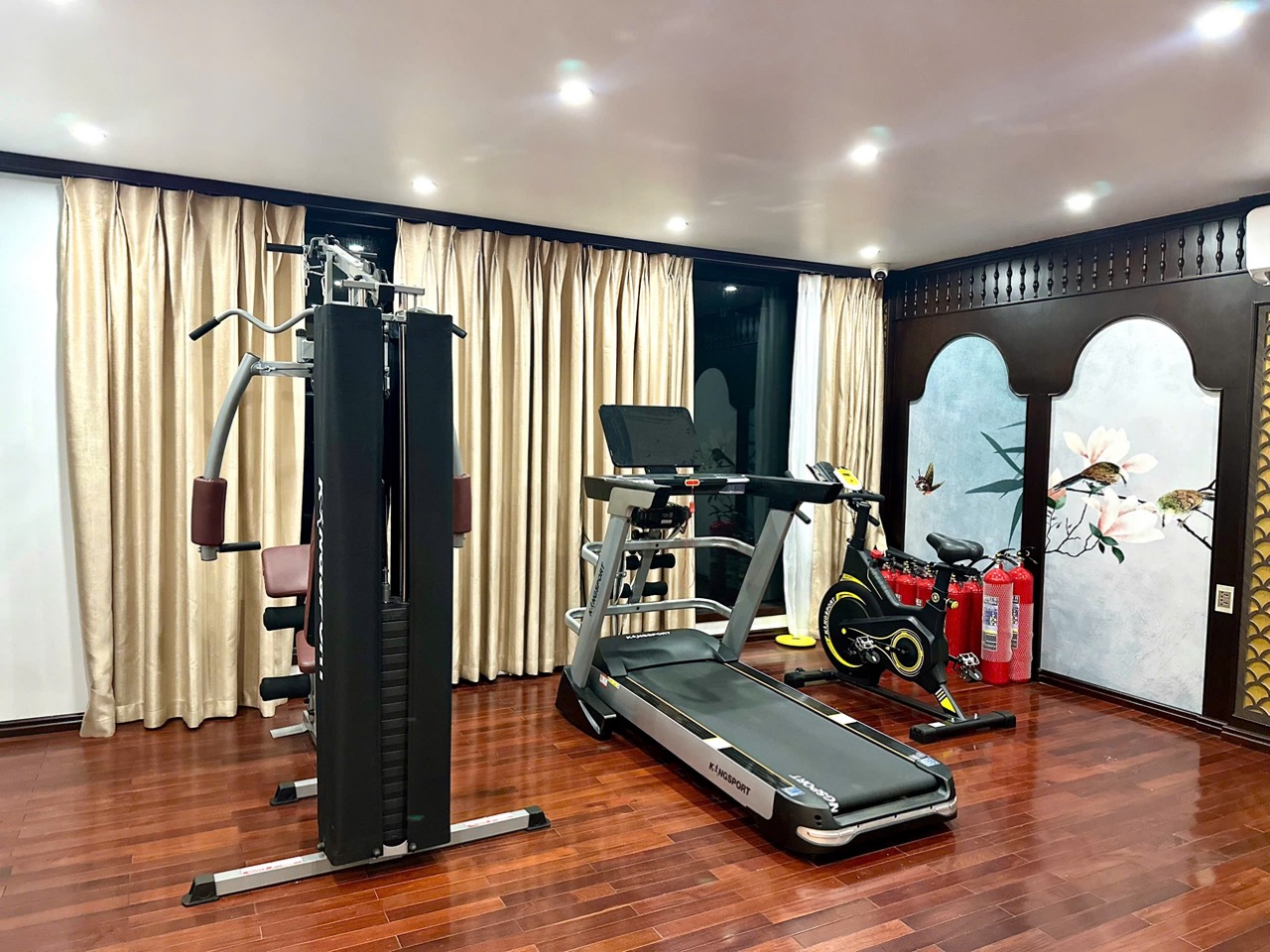 Indoor gym room with modern exercise equipment on Bai Tu Long Cruise.