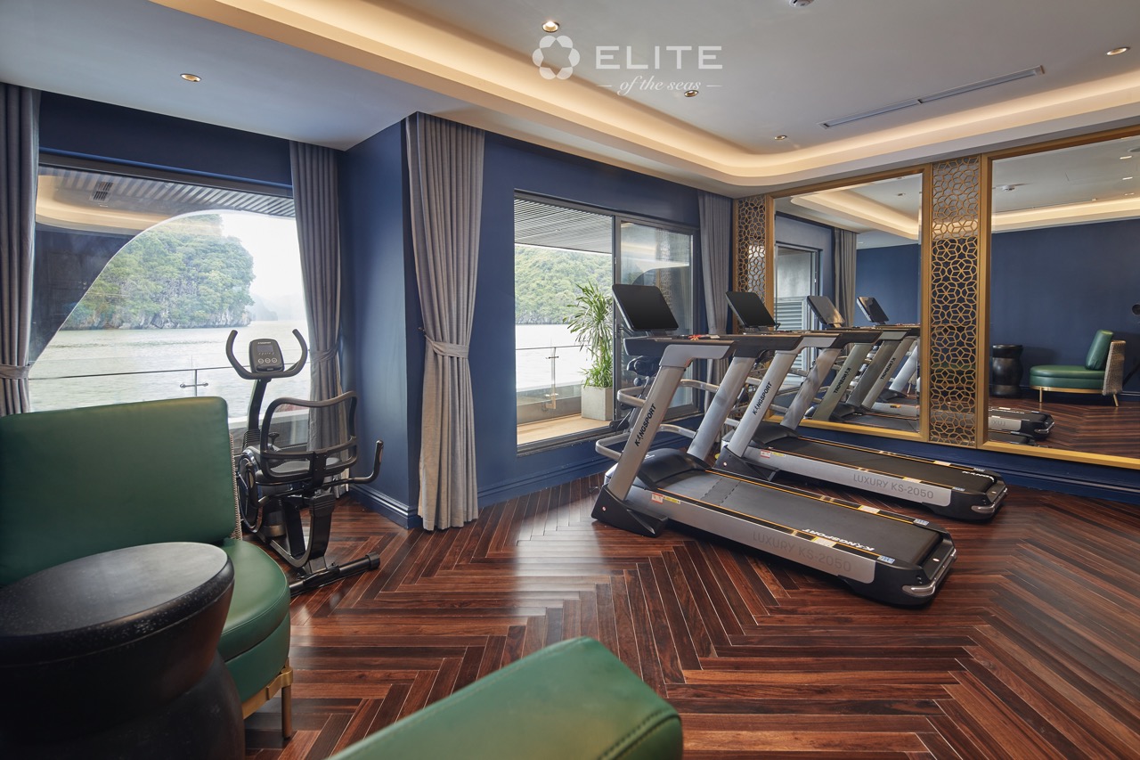 Spacious cruise gym with scenic views of Halong Bay, perfect for relaxing and fitness.