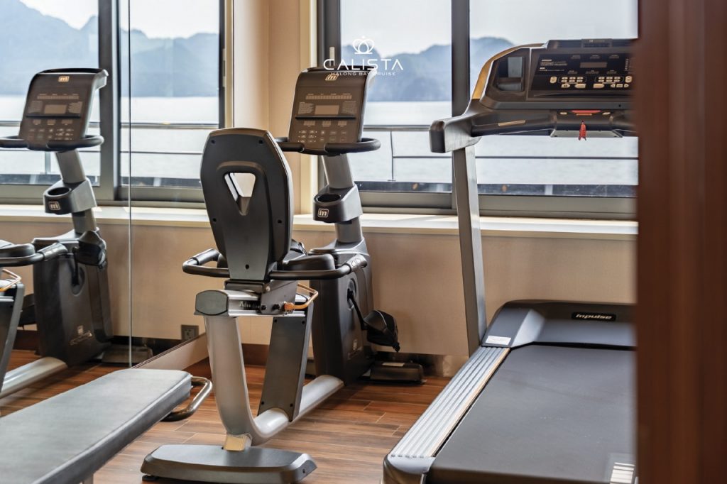 Modern gym equipment with scenic view of Halong Bay for active travelers.