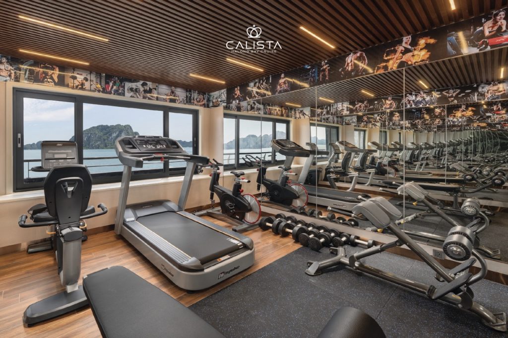 Modern gym with fitness equipment on Calista Cruise overlooking Halong Bay scenery.