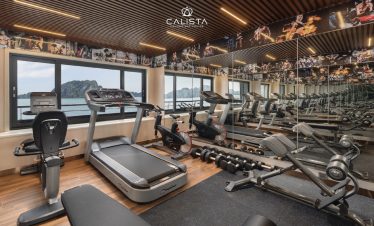 Modern gym with fitness equipment on Calista Cruise overlooking Halong Bay scenery.