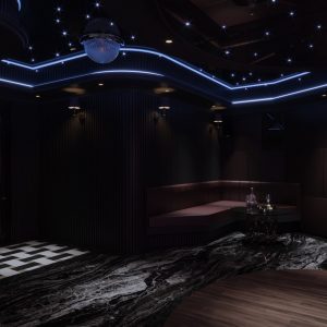 Elegant dark lounge with modern neon lighting, luxurious seating, and sophisticated decor for VIP experience.