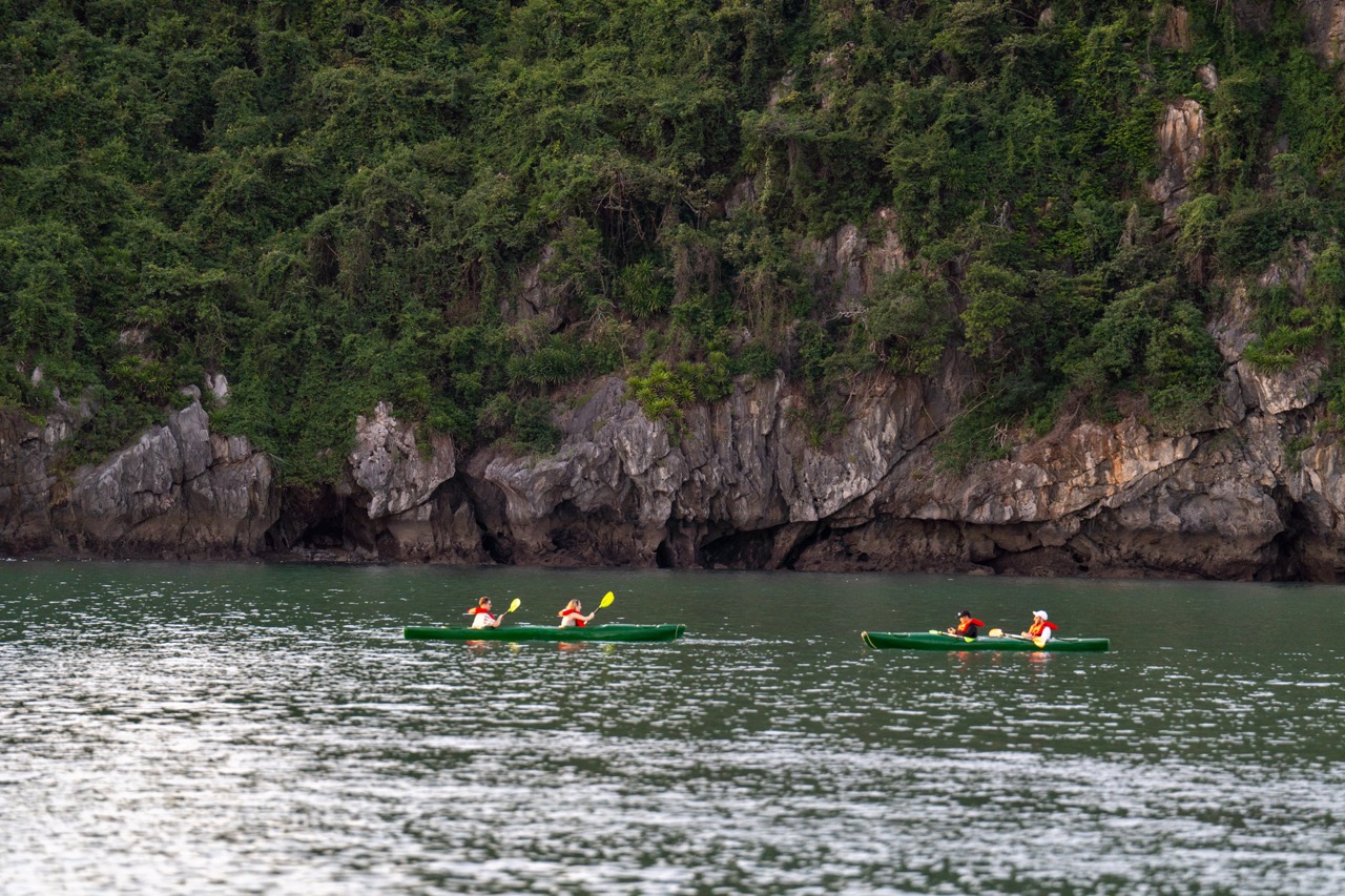 Kayaking on Bai Tu Long Bay with lush green cliffs and calm waters, perfect for a peaceful travel ex.