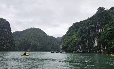 Stunning view of Halong Bay with boats sailing among lush green limestone islands, perfect for a rel.