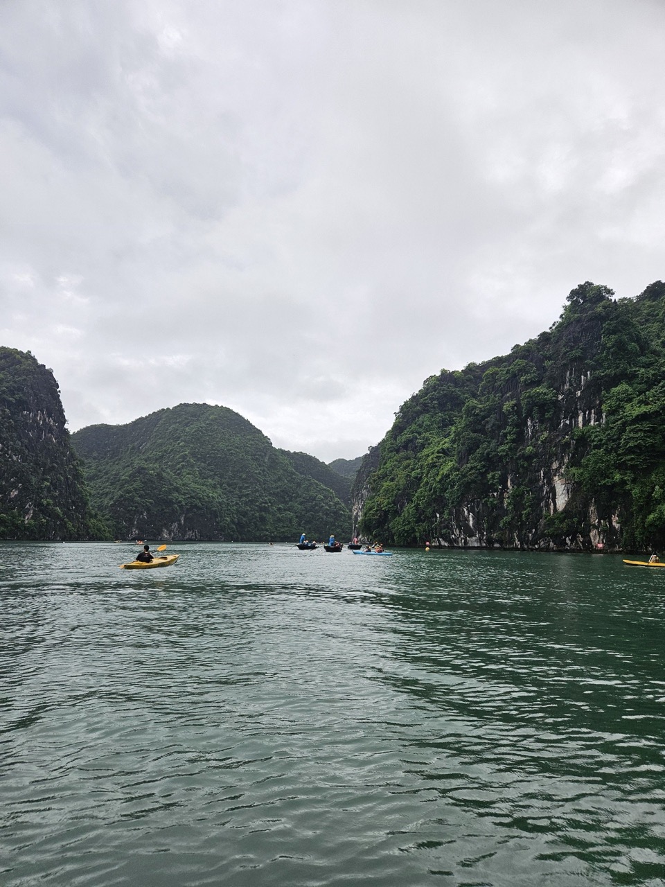 Stunning view of Halong Bay with boats sailing among lush green limestone islands, perfect for a rel.