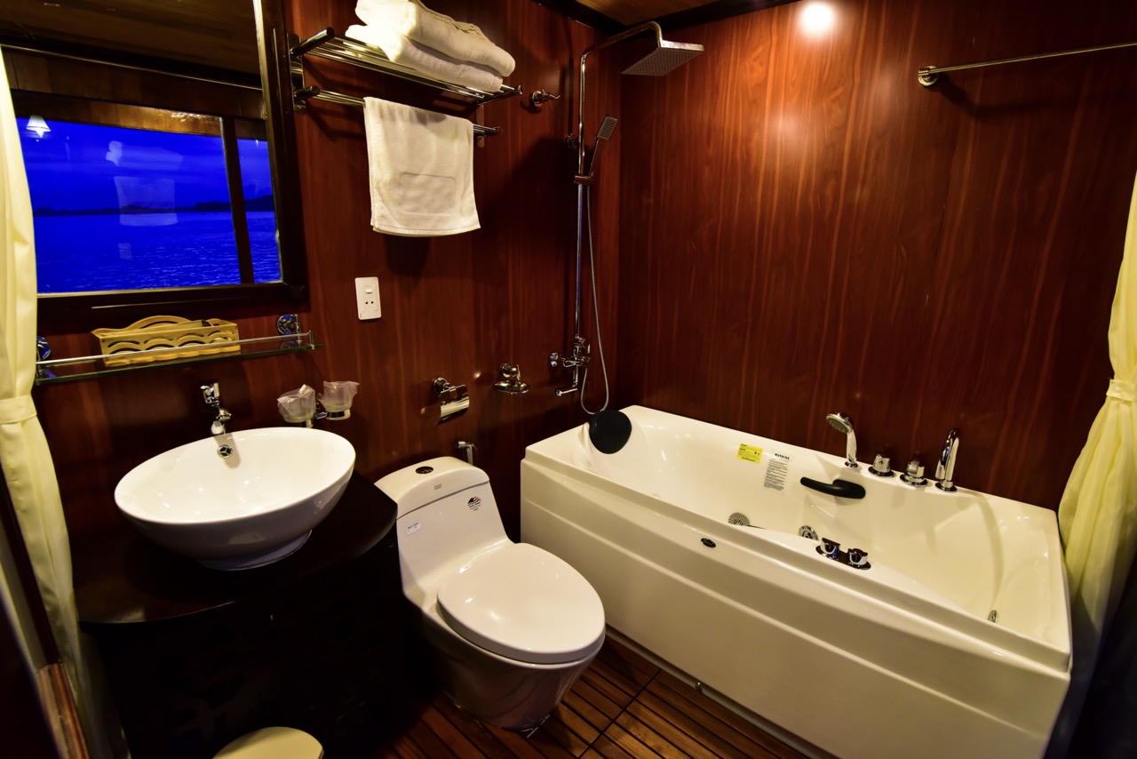 Elegant wooden interior with bathtub, shower, and premium fixtures for a relaxing experience.