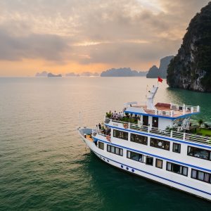 sunrise-bay-swan-cruise-bai-tu-long-bay-viettrendtour