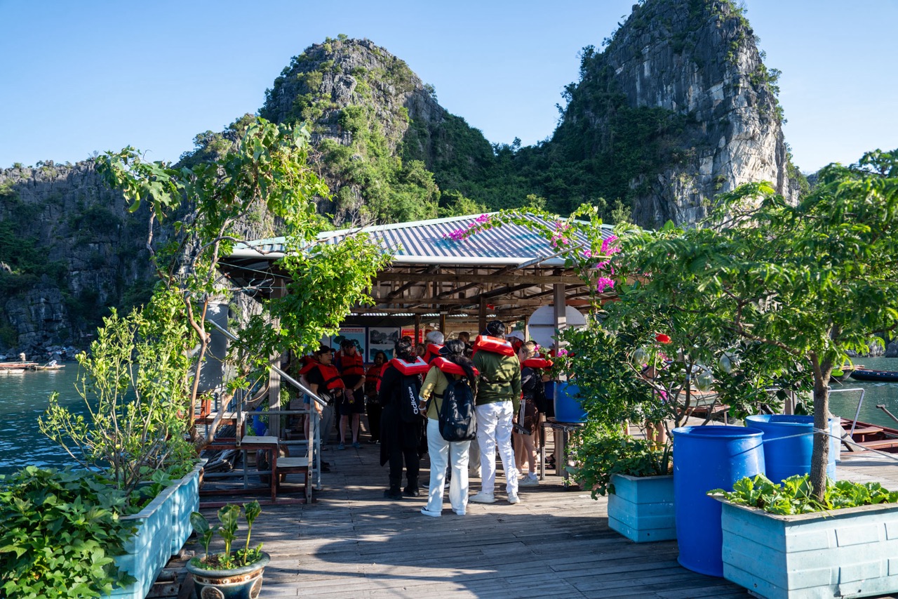 Scenic Bai Tu Long Bay cruise dock with tourists enjoying the view and lush greenery.
