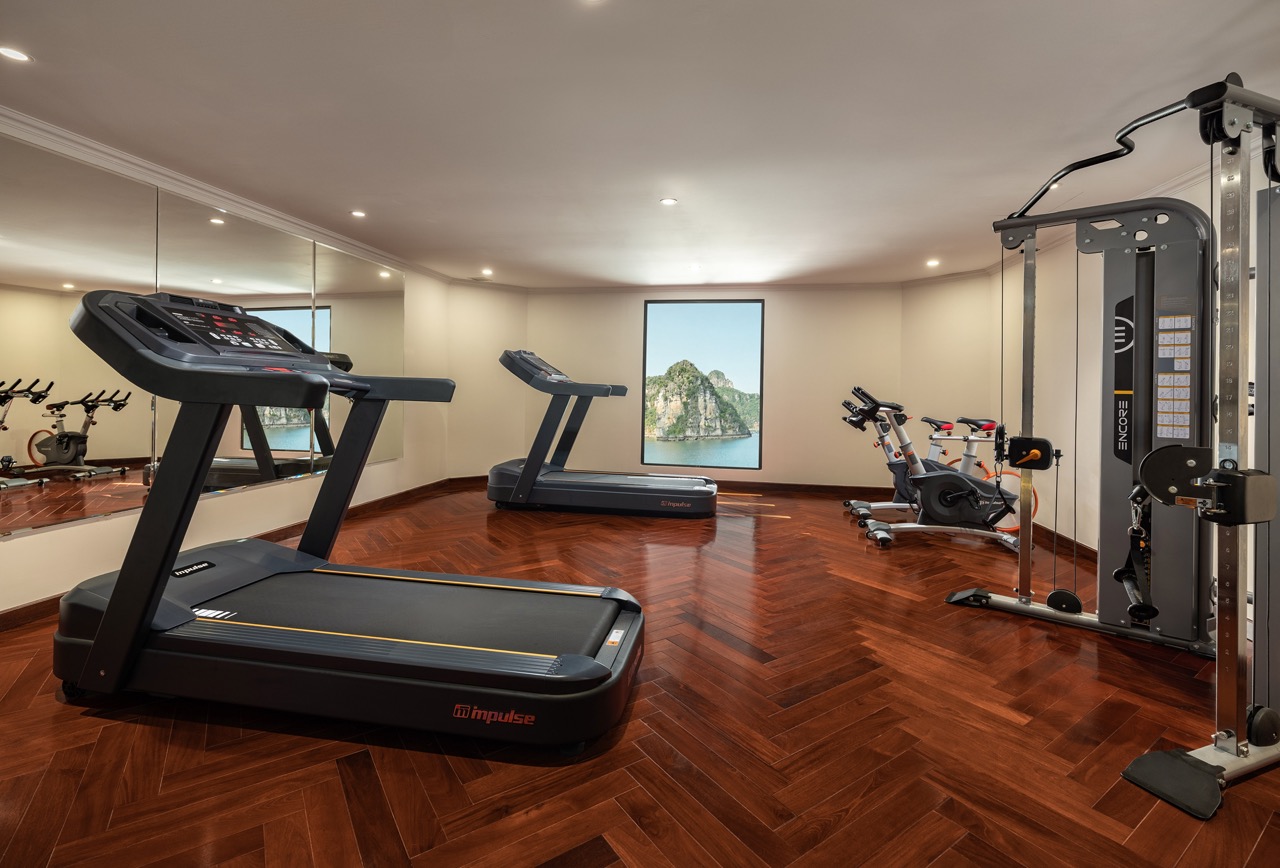 Bright and modern gym room on Lan Ha Bay cruise with treadmill, exercise bike, and scenic window vie.